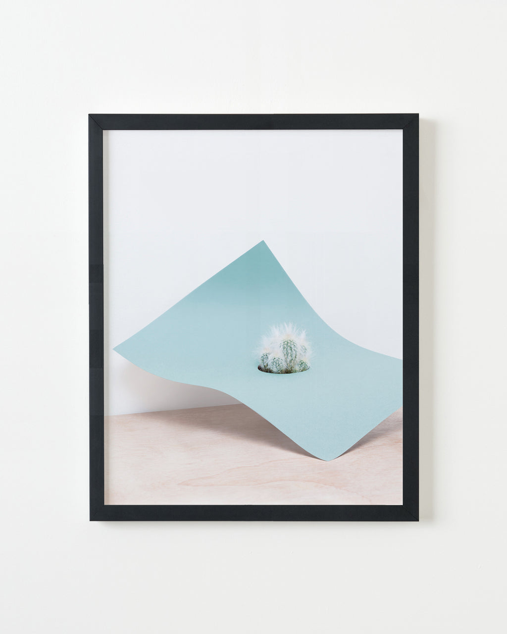 Photography by Martina Lang titled "Plant 01" - 3.