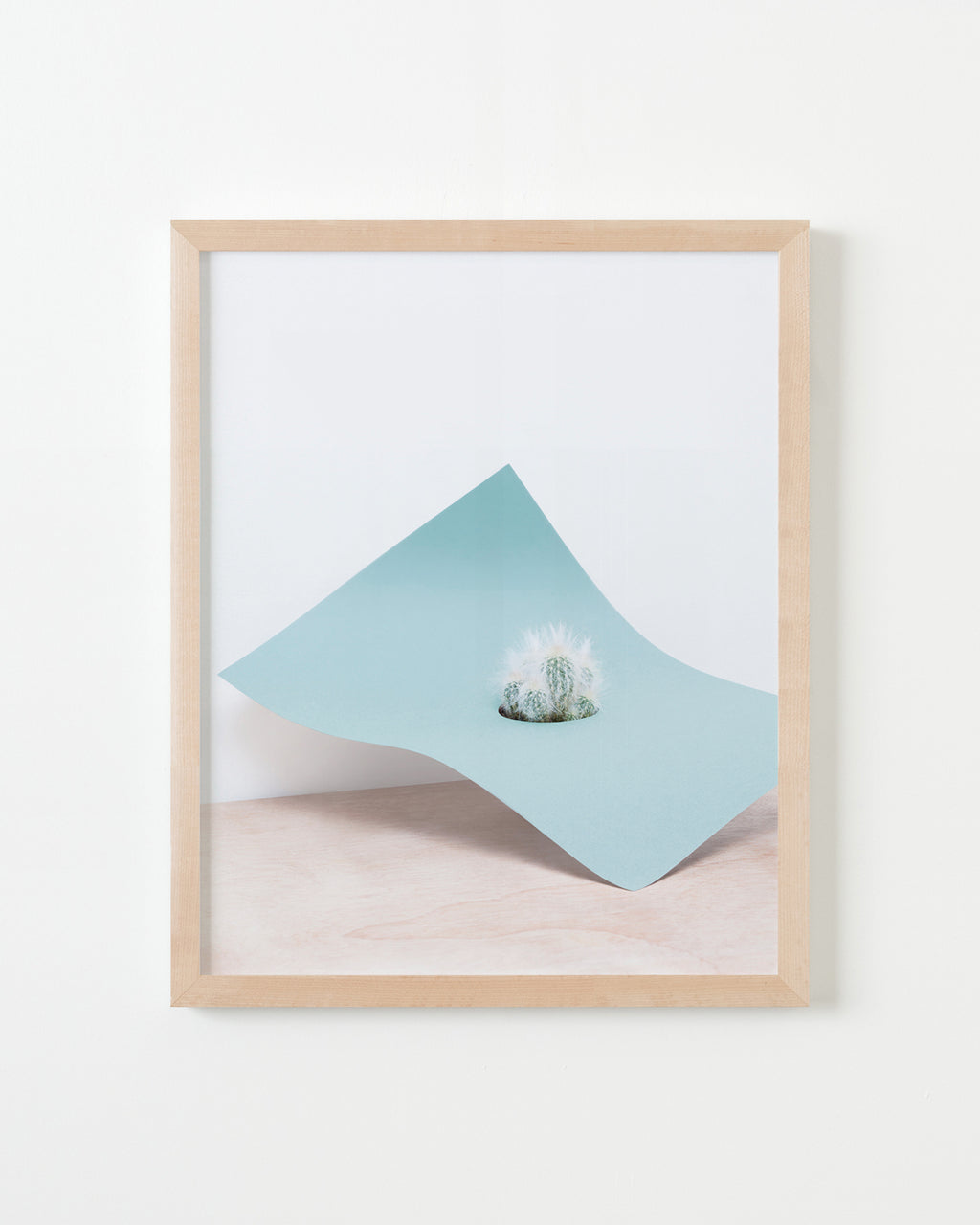 Photography by Martina Lang titled "Plant 01" - 4.
