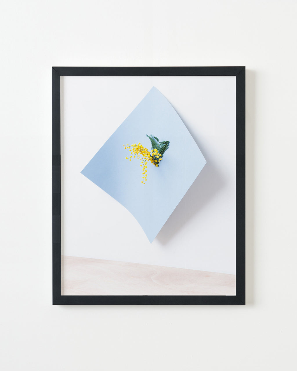 Photography by Martina Lang titled "Plant 02" - 3.