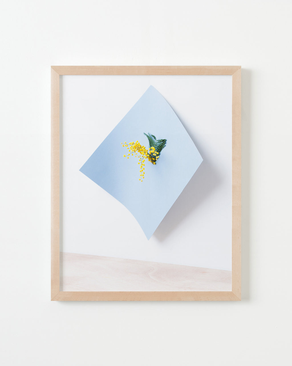 Photography by Martina Lang titled "Plant 02" - 4.