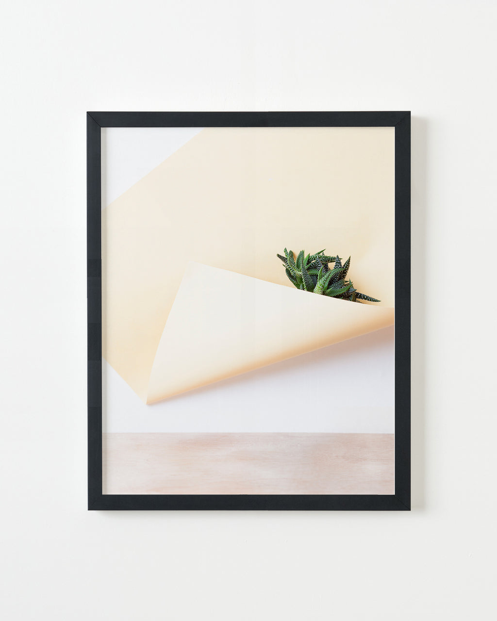 Photography by Martina Lang titled "Plant 03" - 3.