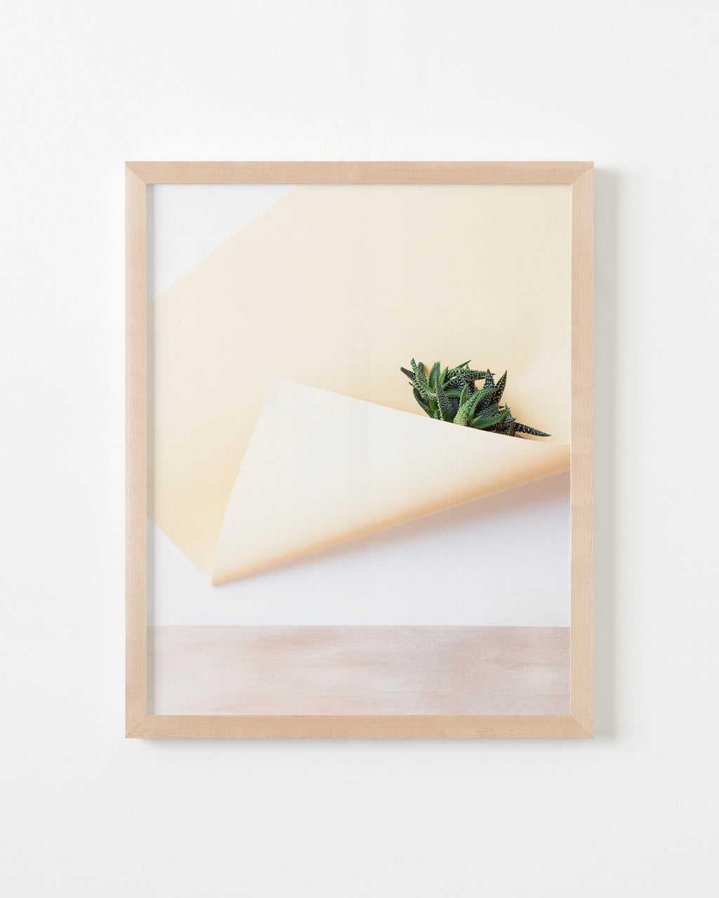 Photography by Martina Lang titled "Plant 03" - 4.