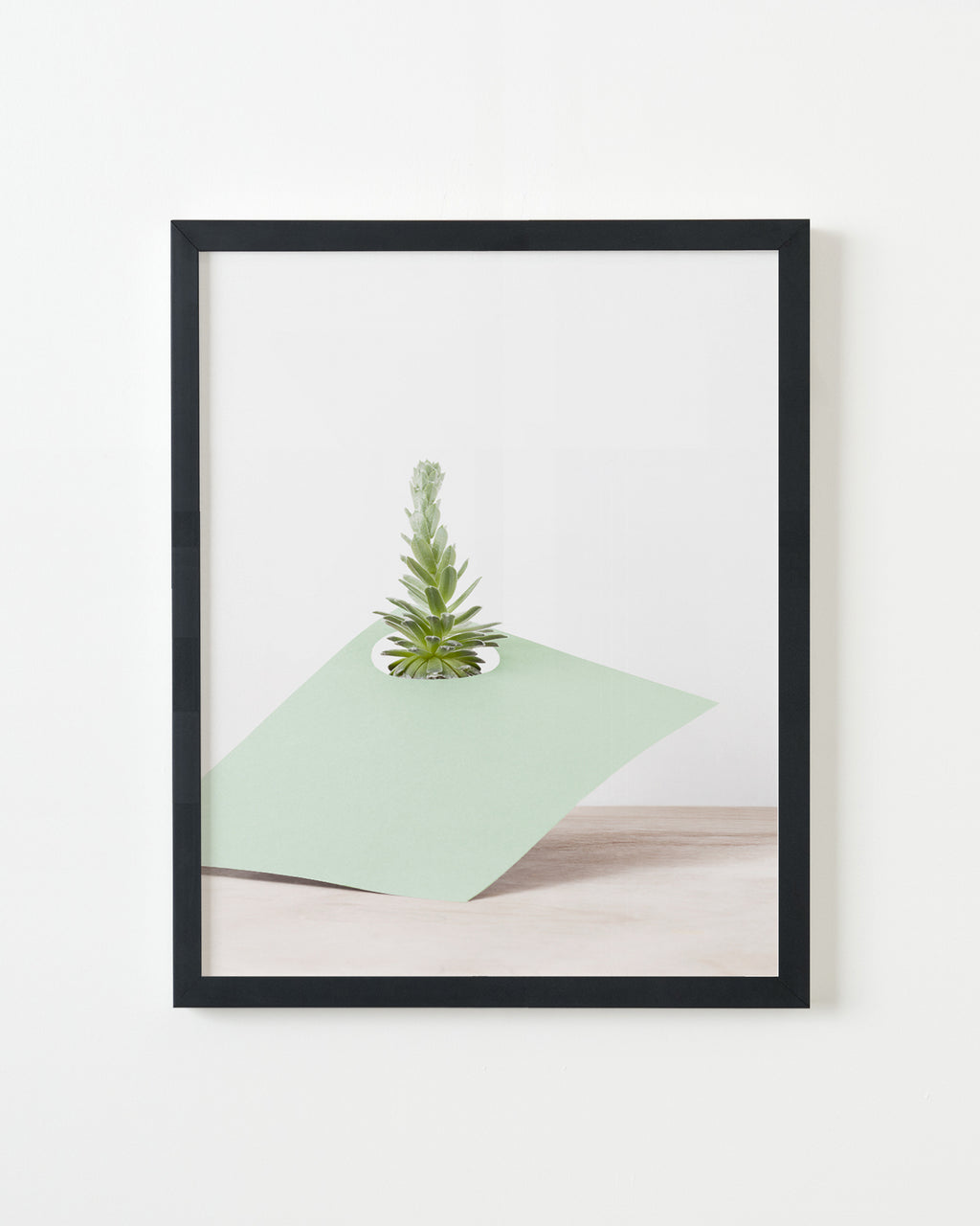 Photography by Martina Lang titled "Plant 04" - 3.