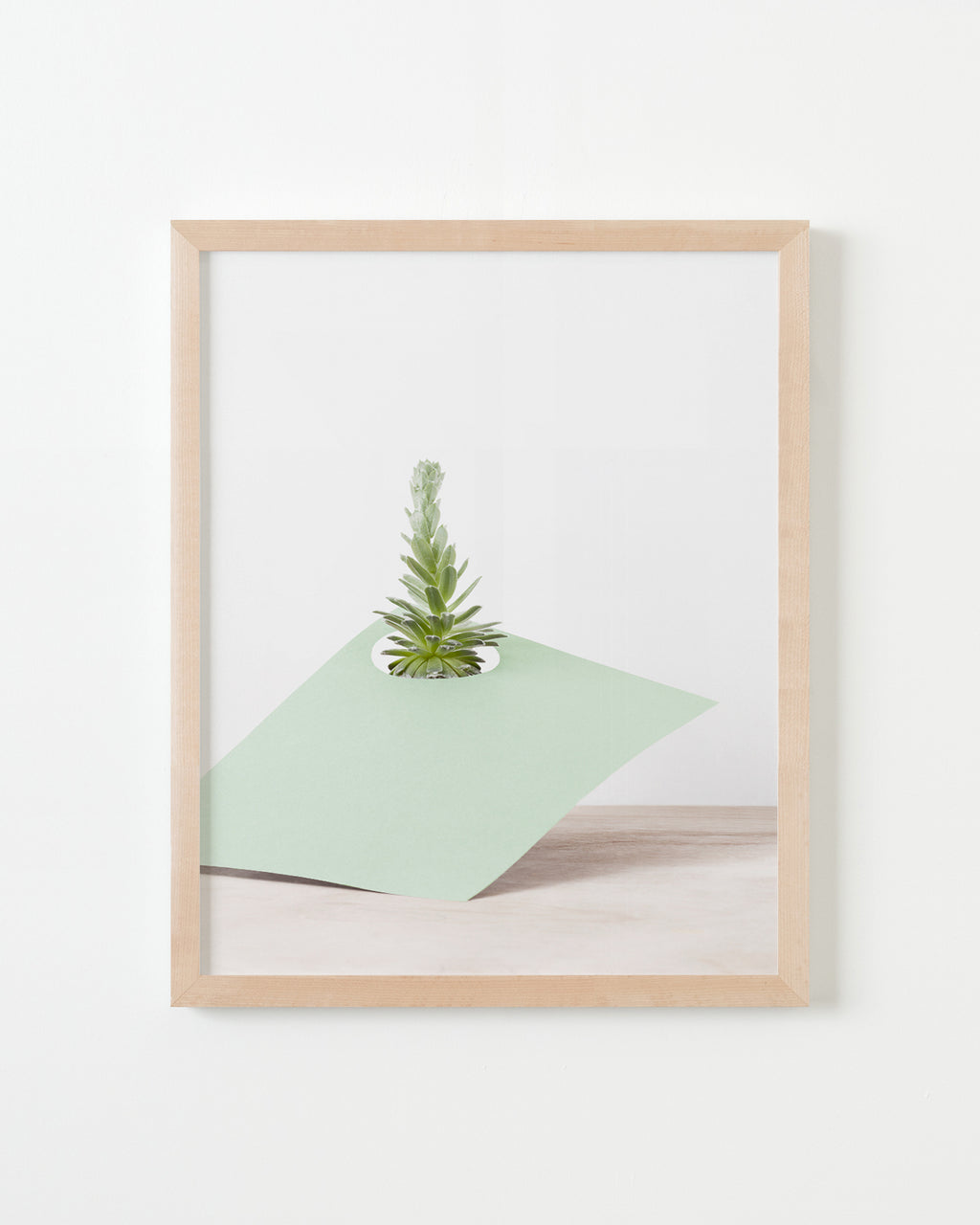Photography by Martina Lang titled "Plant 04" - 4.