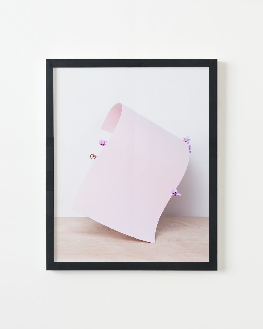 Photography by Martina Lang titled "Plant 05" - 3.