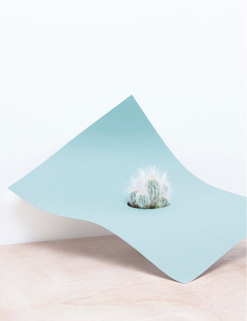 Photography by Martina Lang titled "Plant 01" - 2.