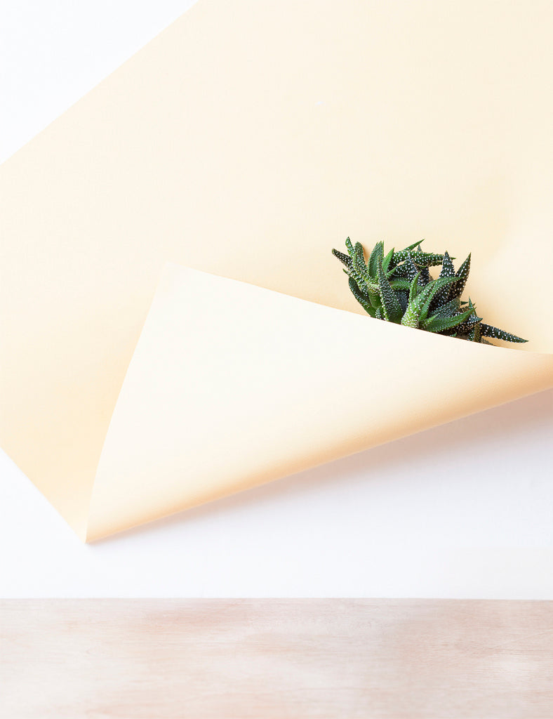 Photography by Martina Lang titled "Plant 03" - 2.