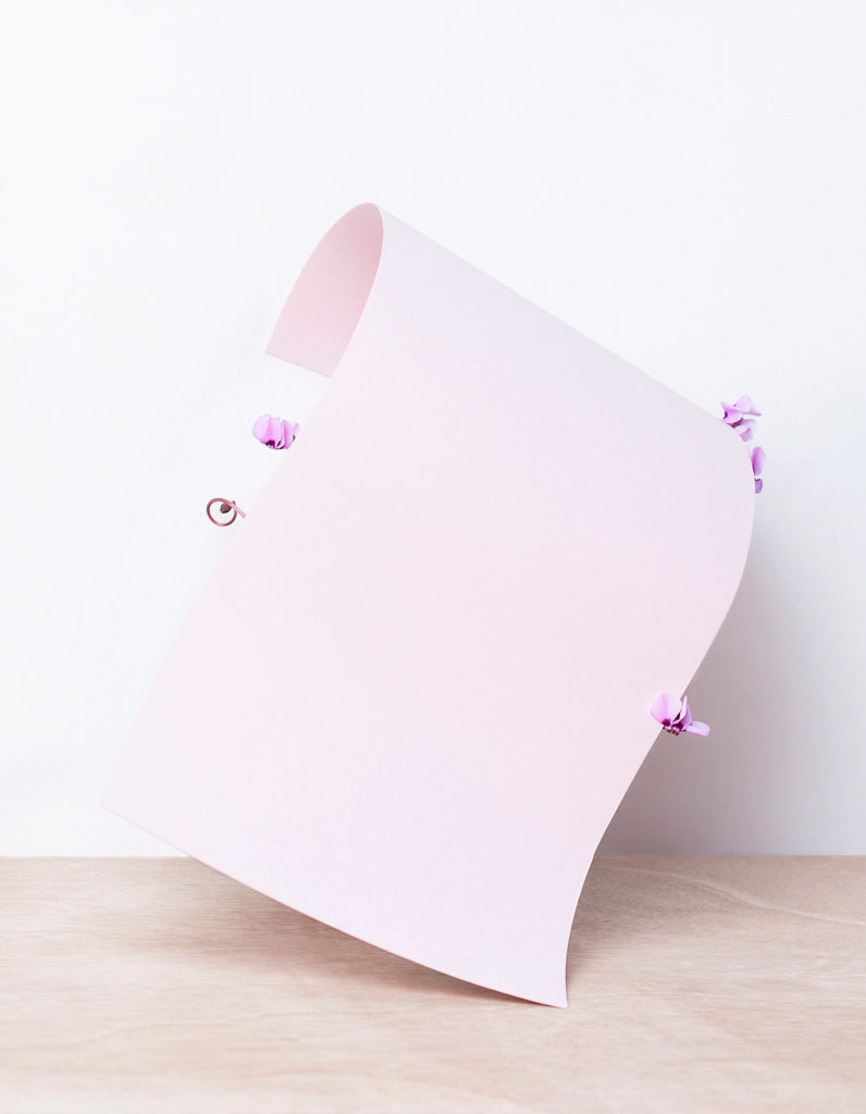 Photography by Martina Lang titled "Plant 05" - 2.