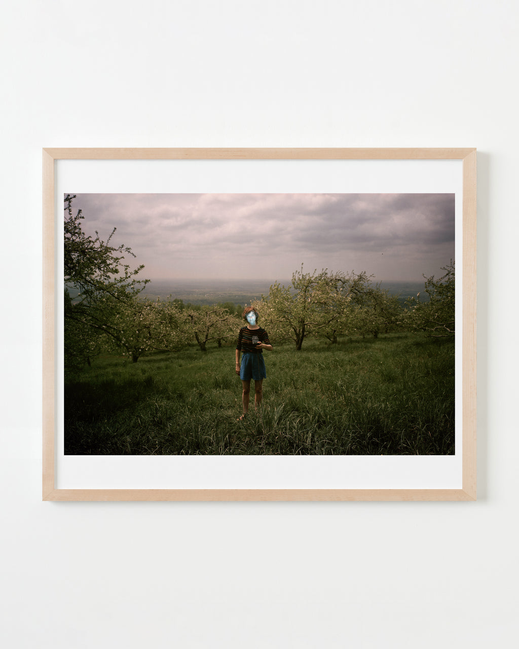 Photography by Michael Northrup titled "Orchard Glow" - 4.