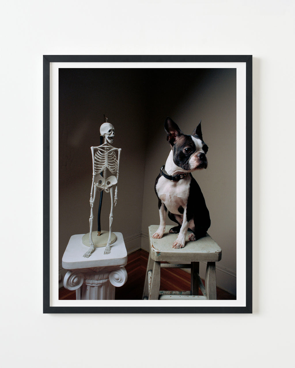 Photography by Michael Northrup titled "Sid with Skeleton" - 3.