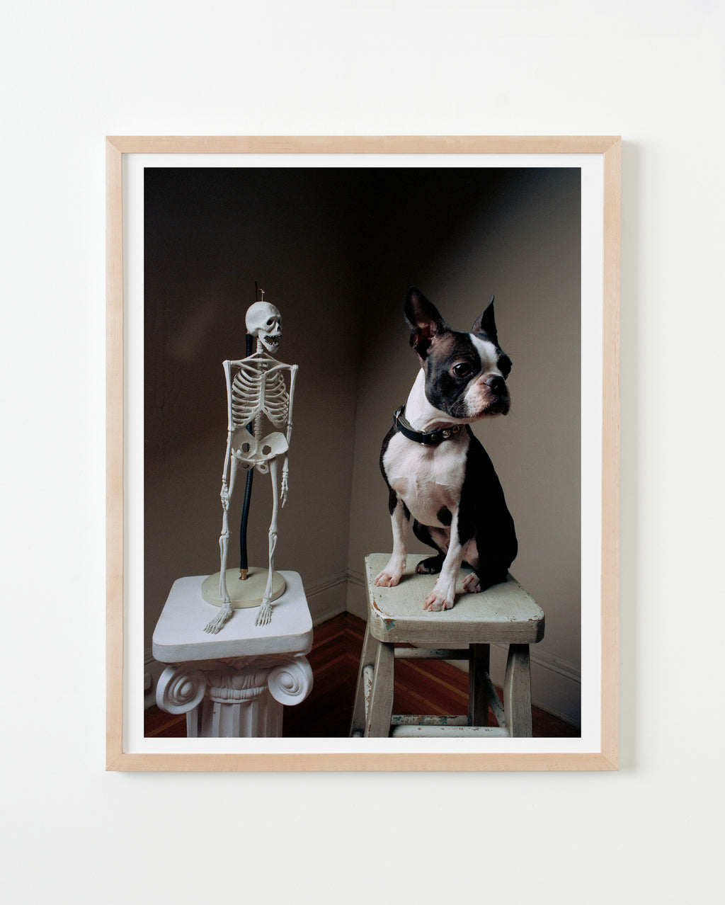 Photography by Michael Northrup titled "Sid with Skeleton" - 4.