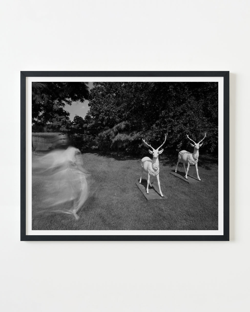 Photography by Michael Northrup titled "Yardeer" - 3.