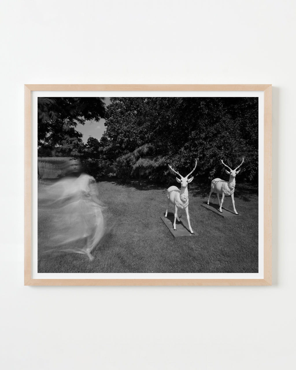 Photography by Michael Northrup titled "Yardeer" - 4.