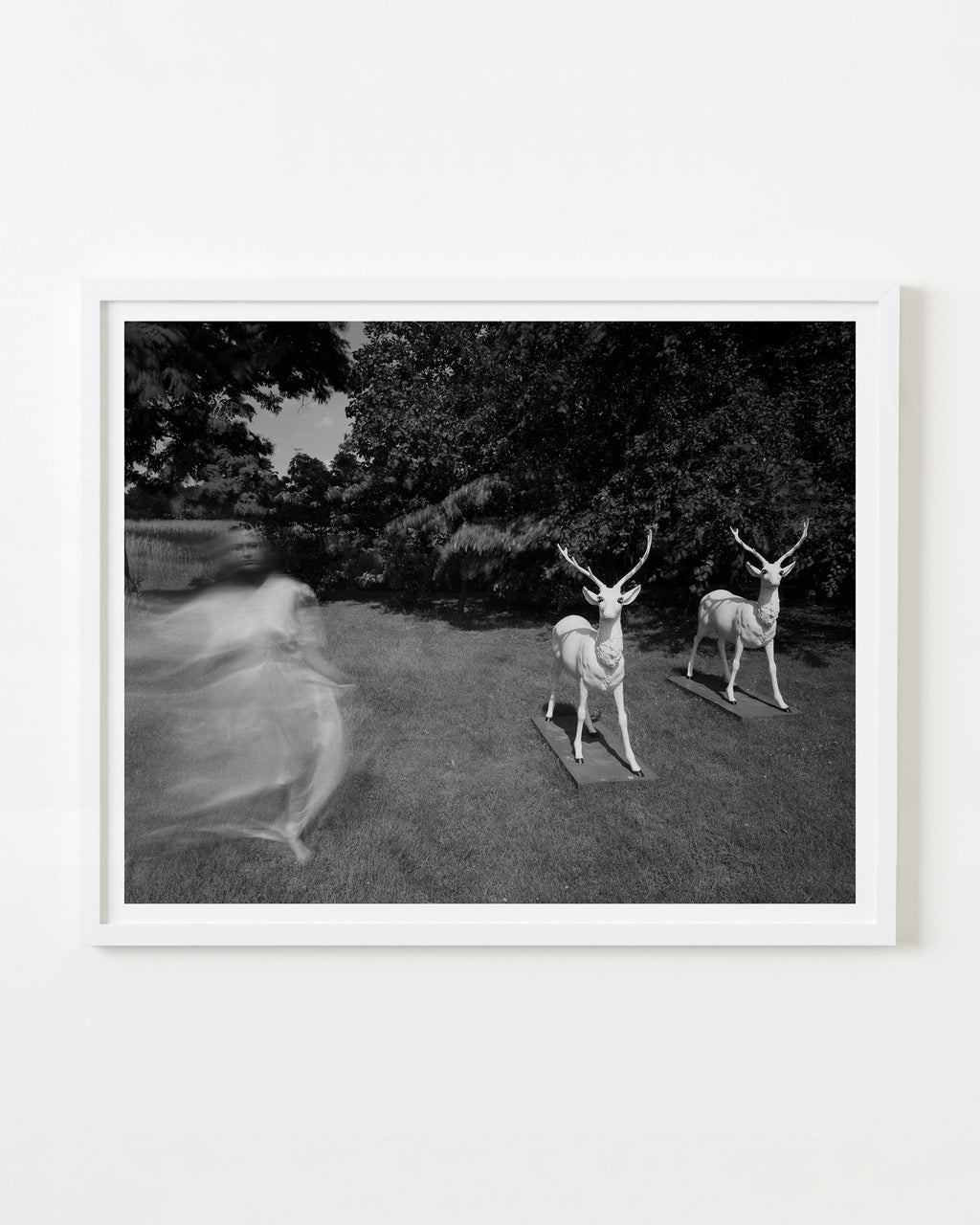 Photography by Michael Northrup titled "Yardeer" - 1.