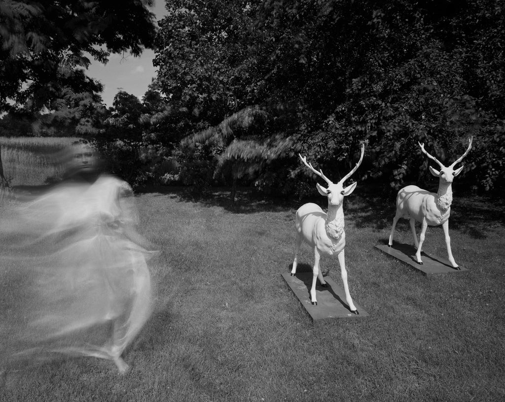 Photography by Michael Northrup titled "Yardeer" - 2.