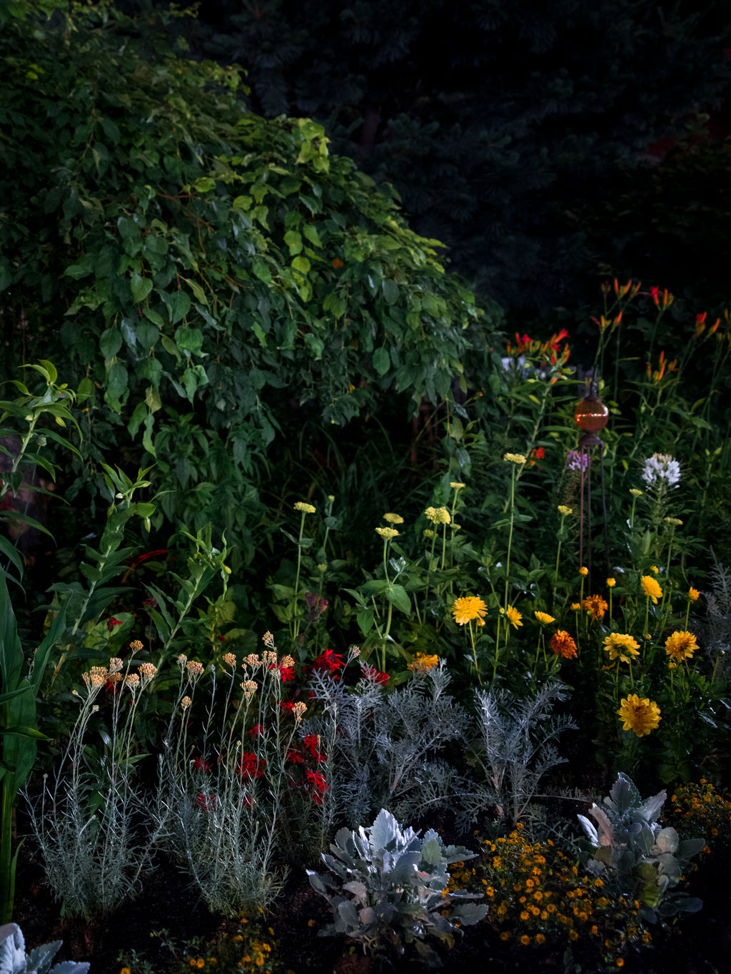 Photography by Anna Beeke titled "Midnight in the Garden #82" - 2.