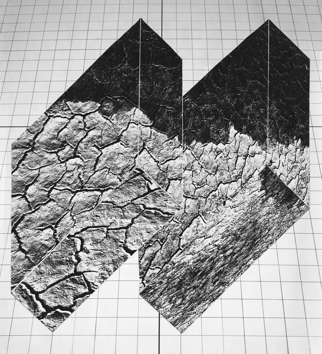 Photography by Millee Tibbs titled "Alchemical Translations (Summer Lake)" - 2.