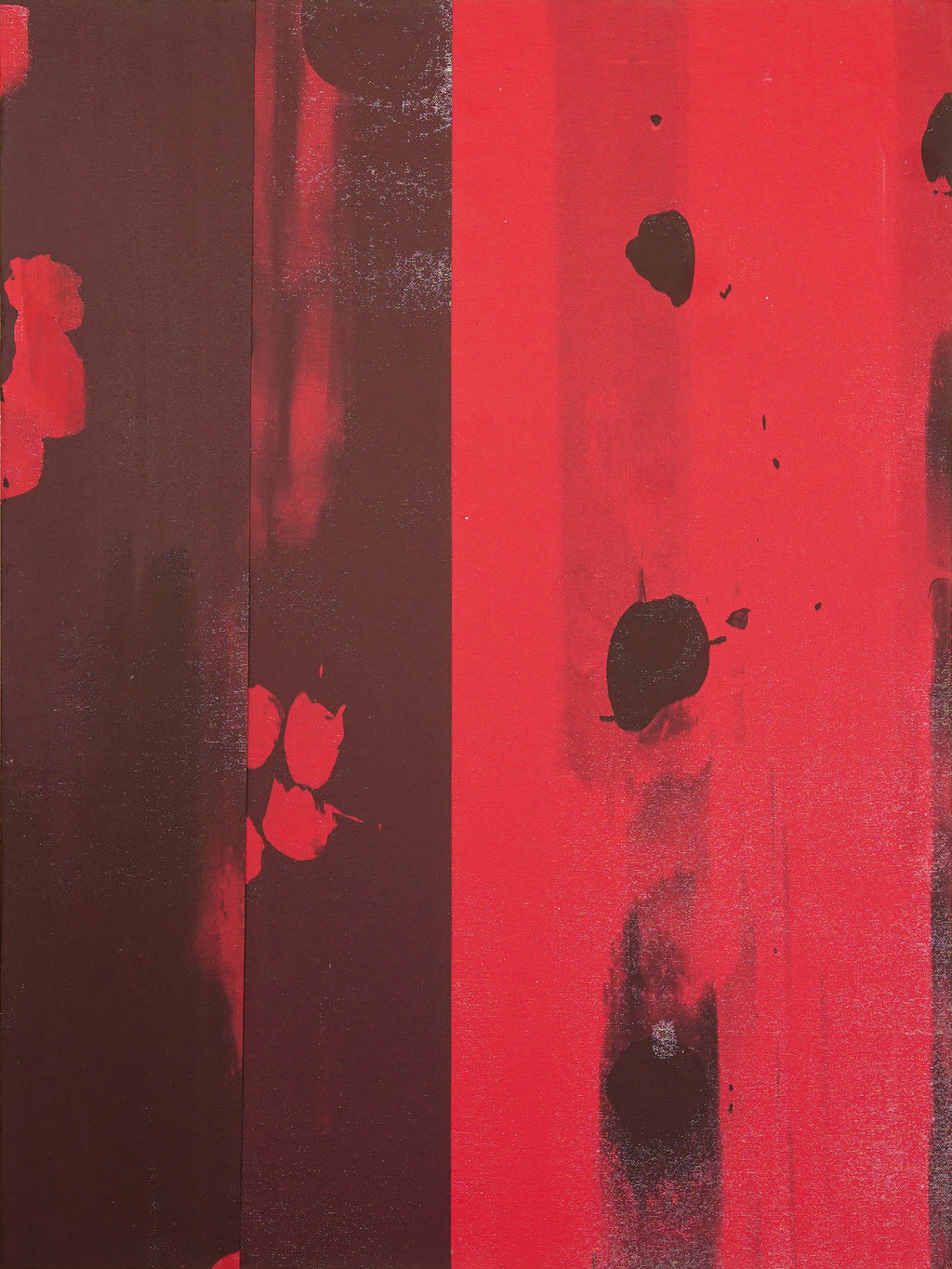 Painting by Natalia Nicole Rodríguez titled "So many poppies n.2" - 2.