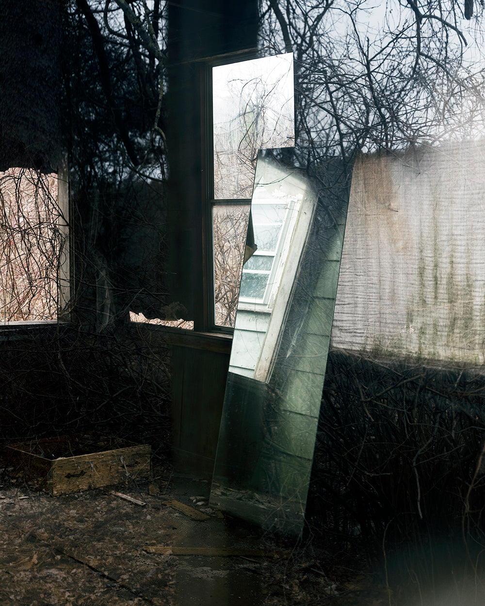 Photography by Nick Meyer titled "Mirror and Windows" - 2.