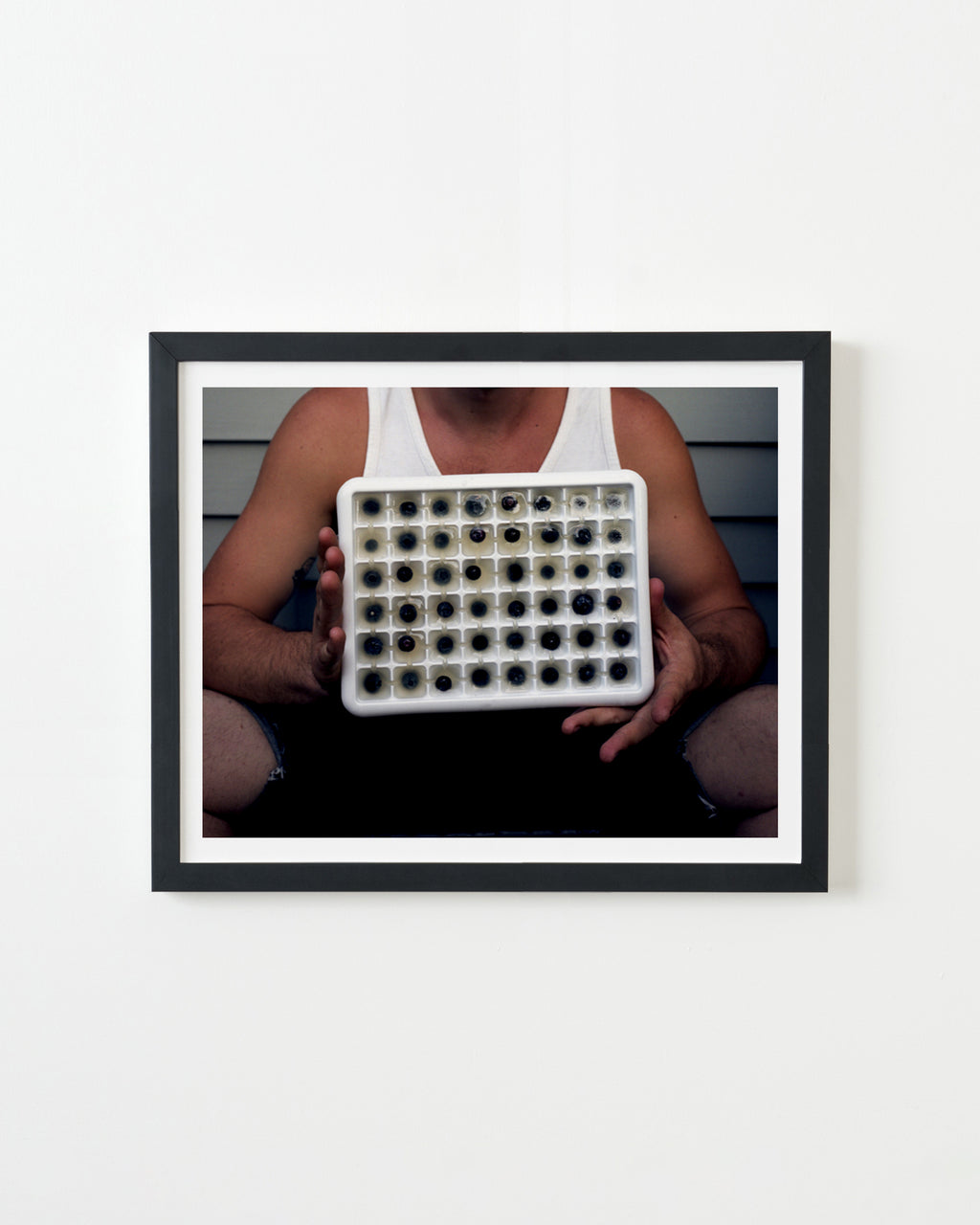 Photography by Nick Meyer titled "Tray of Blueberry Ice Cubes, Haydenville" - 3.