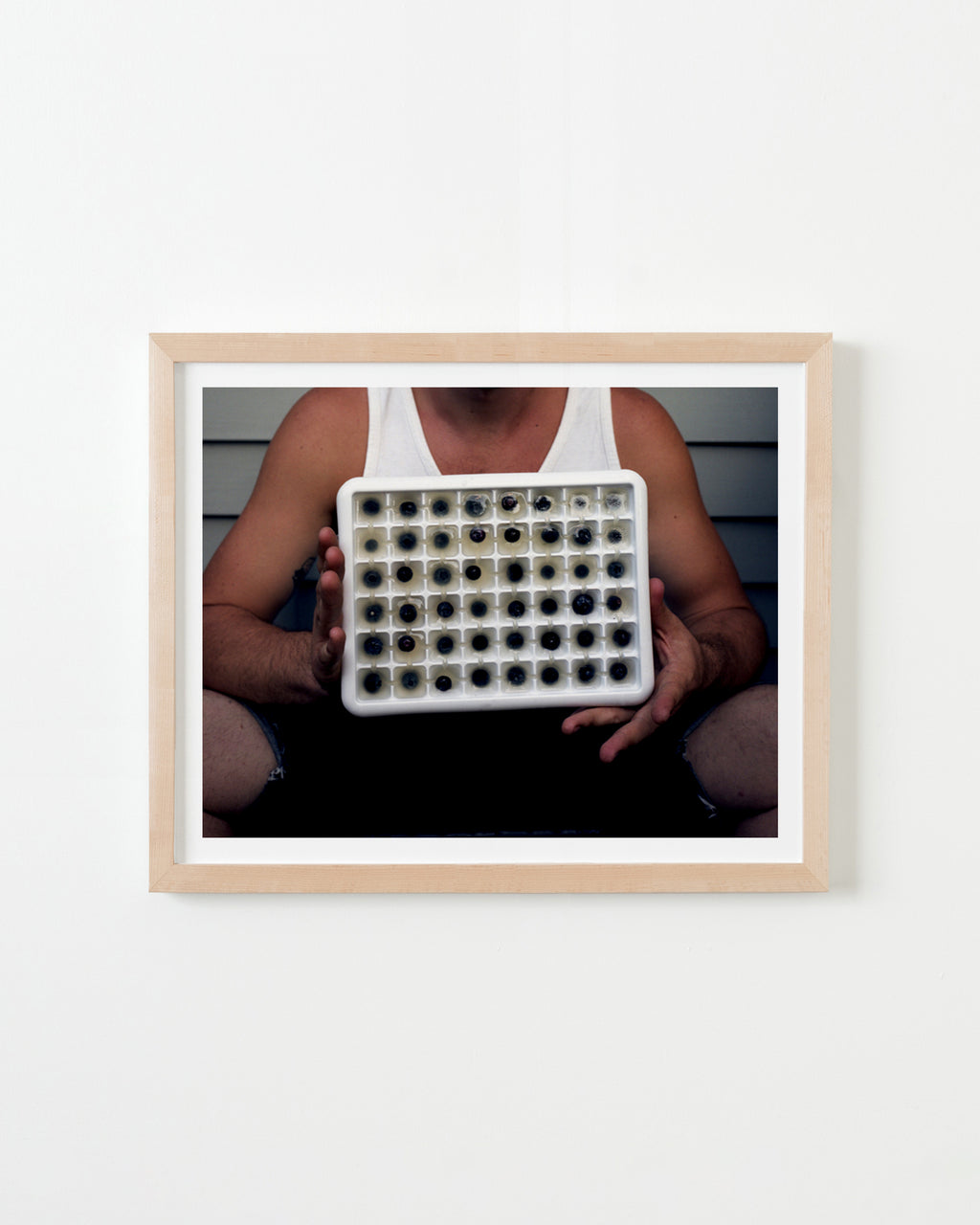 Photography by Nick Meyer titled "Tray of Blueberry Ice Cubes, Haydenville" - 4.