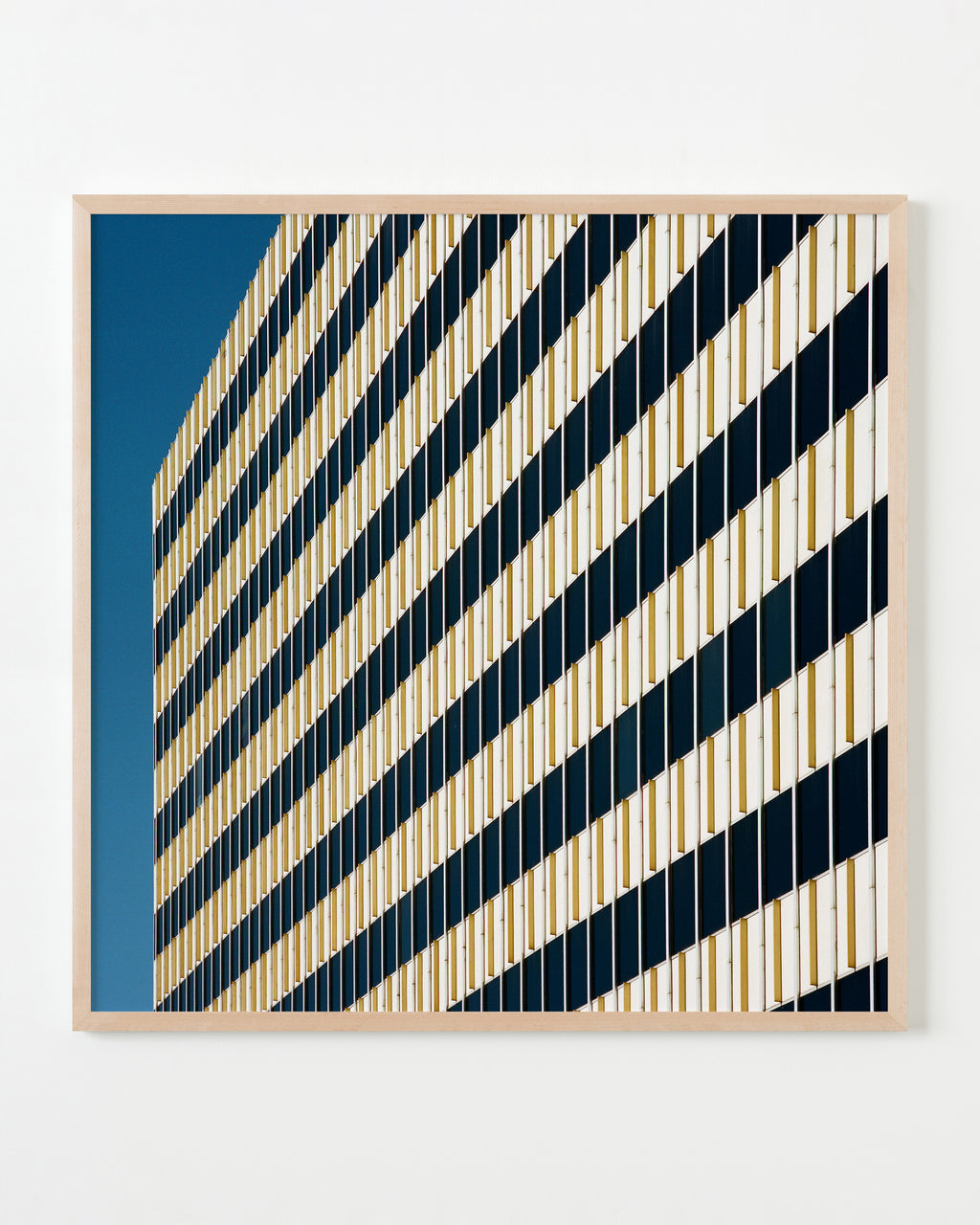 Photography by Sinziana Velicescu titled "Tucson, AZ" - 3.