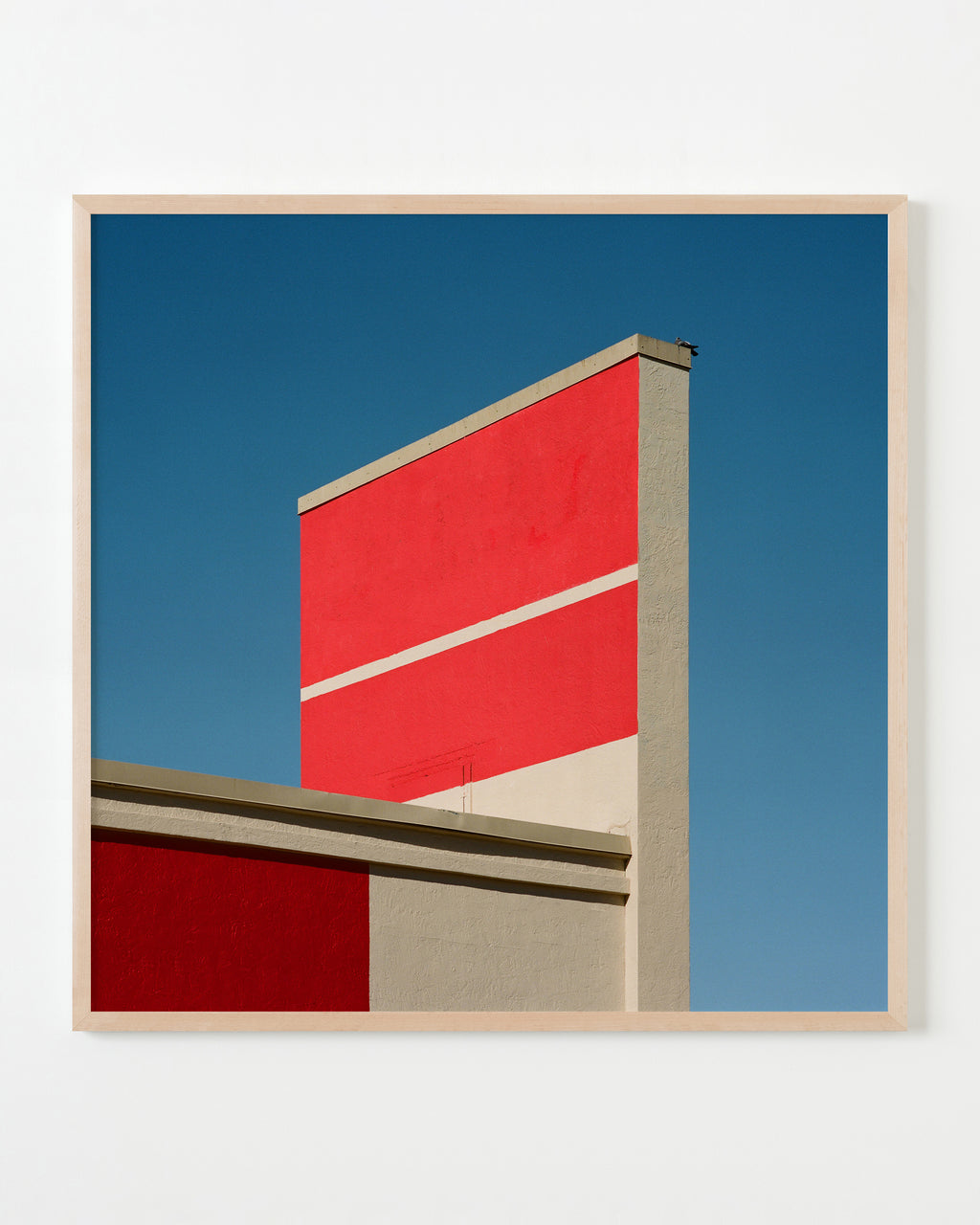 Photography by Sinziana Velicescu titled "Tucson, AZ" - 3.