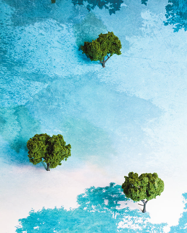 Photography by Teresa Christiansen titled "Re-flection" - 2.