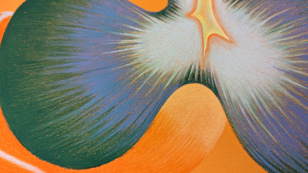 Drawing by Roche titled "Wild Seeds , Bloom" - 8.