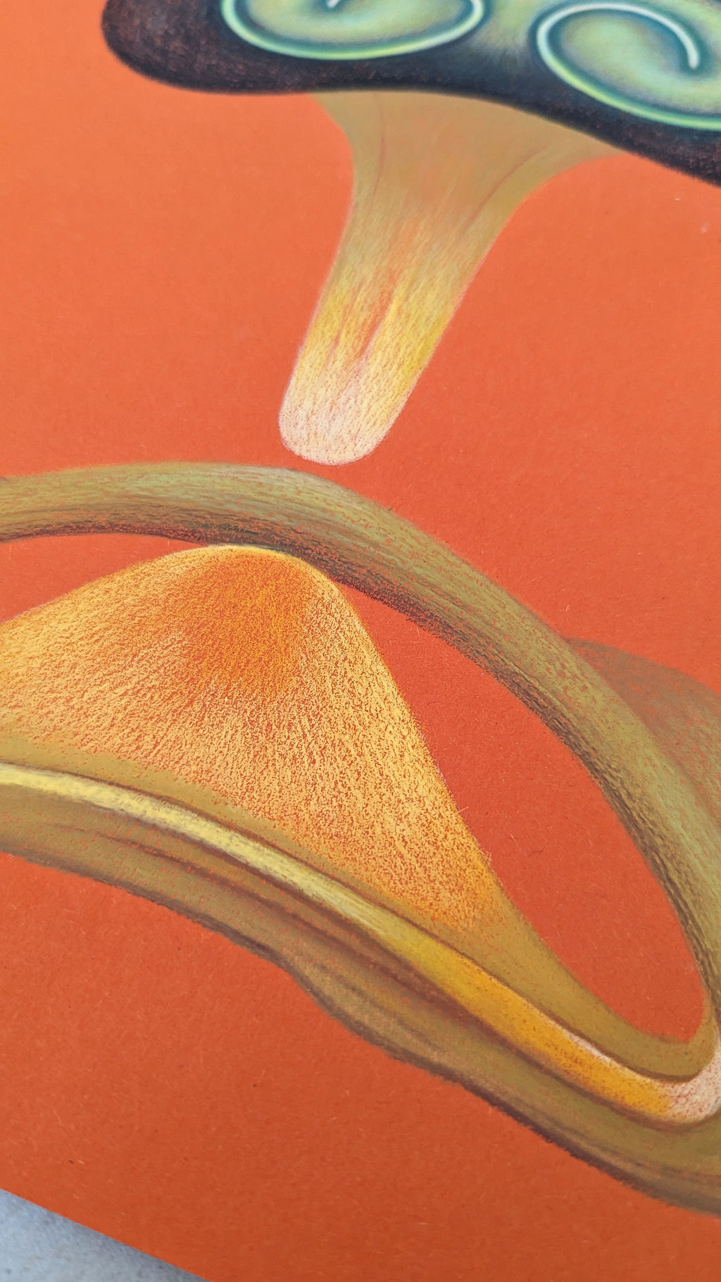 Drawing by Roche titled "Wild Seeds , Fungus" - 7.