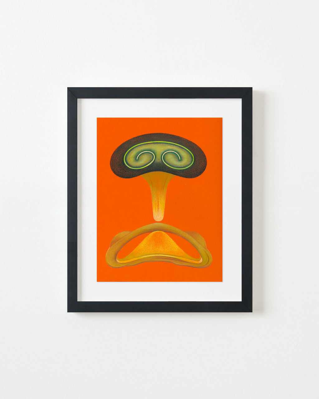 Drawing by Roche titled "Wild Seeds , Fungus" - 3.