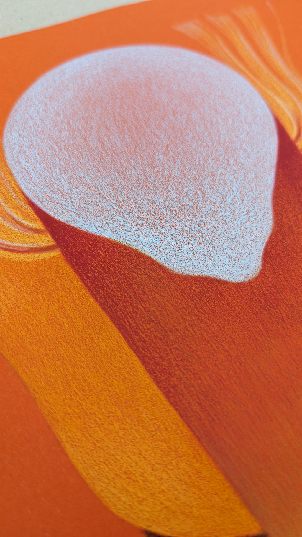 Drawing by Roche titled "Wild Seeds , Hearth" - 7.