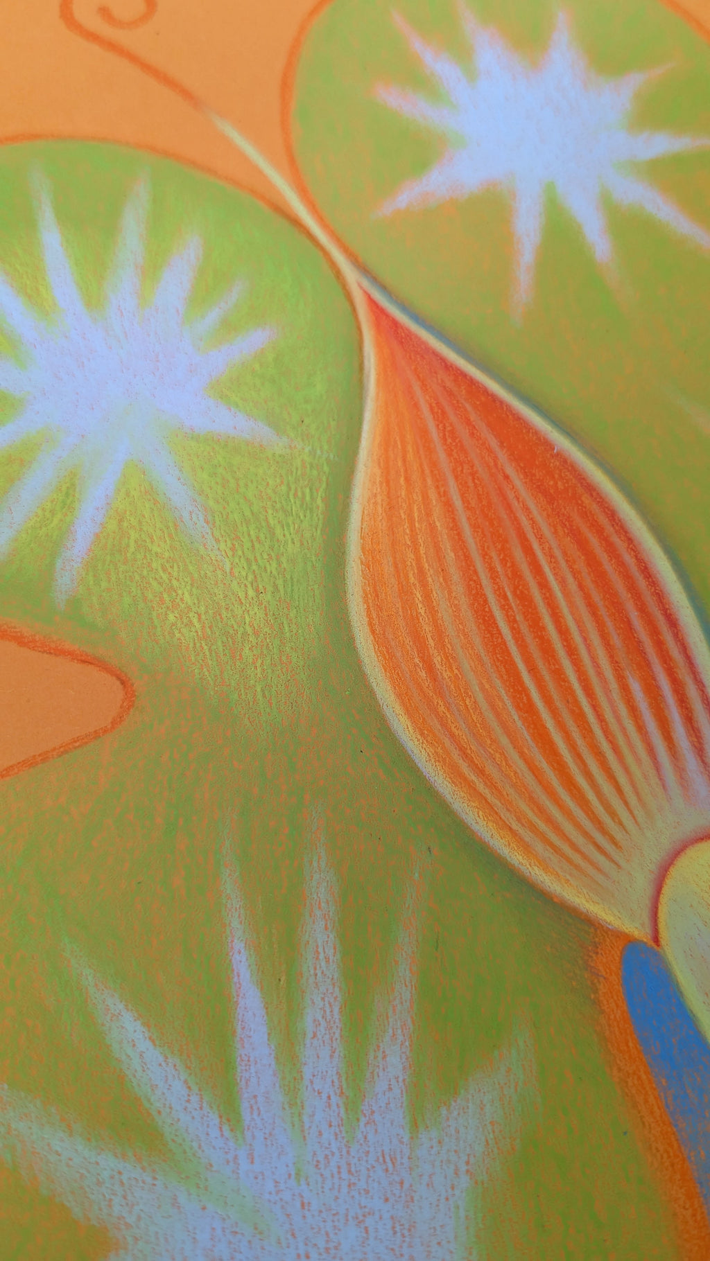 Drawing by Roche titled "Wild Seeds , Pistil" - 5.