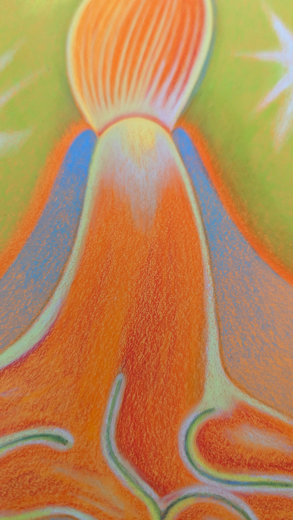 Drawing by Roche titled "Wild Seeds , Pistil" - 6.