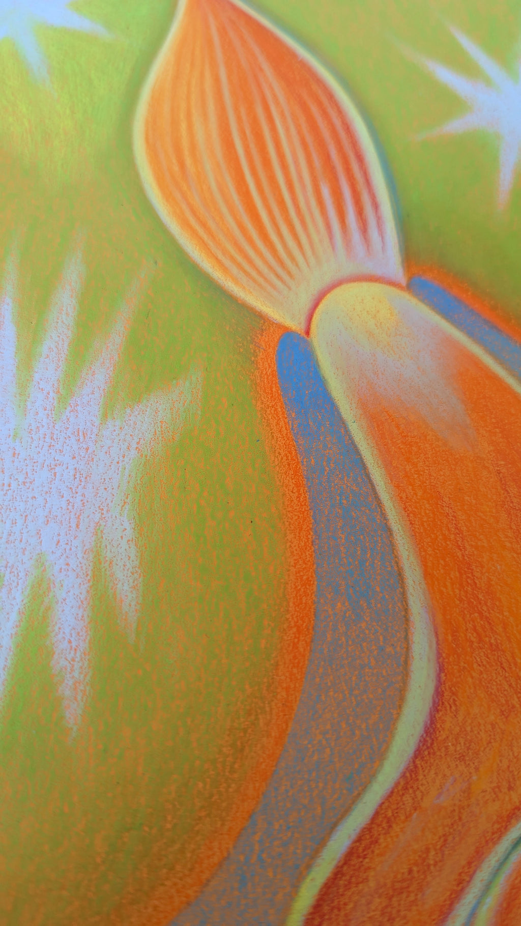 Drawing by Roche titled "Wild Seeds , Pistil" - 7.