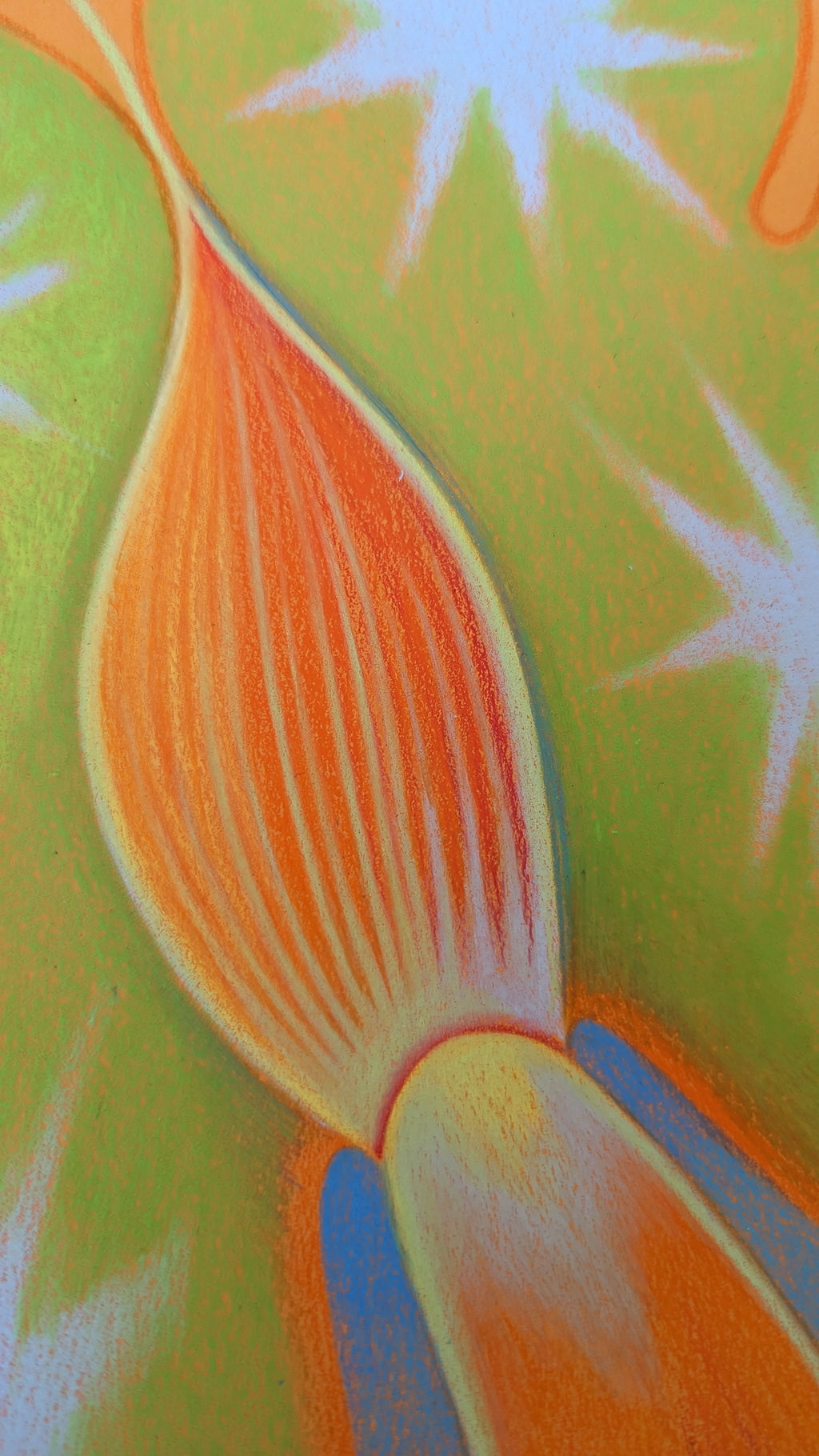 Drawing by Roche titled "Wild Seeds , Pistil" - 8.