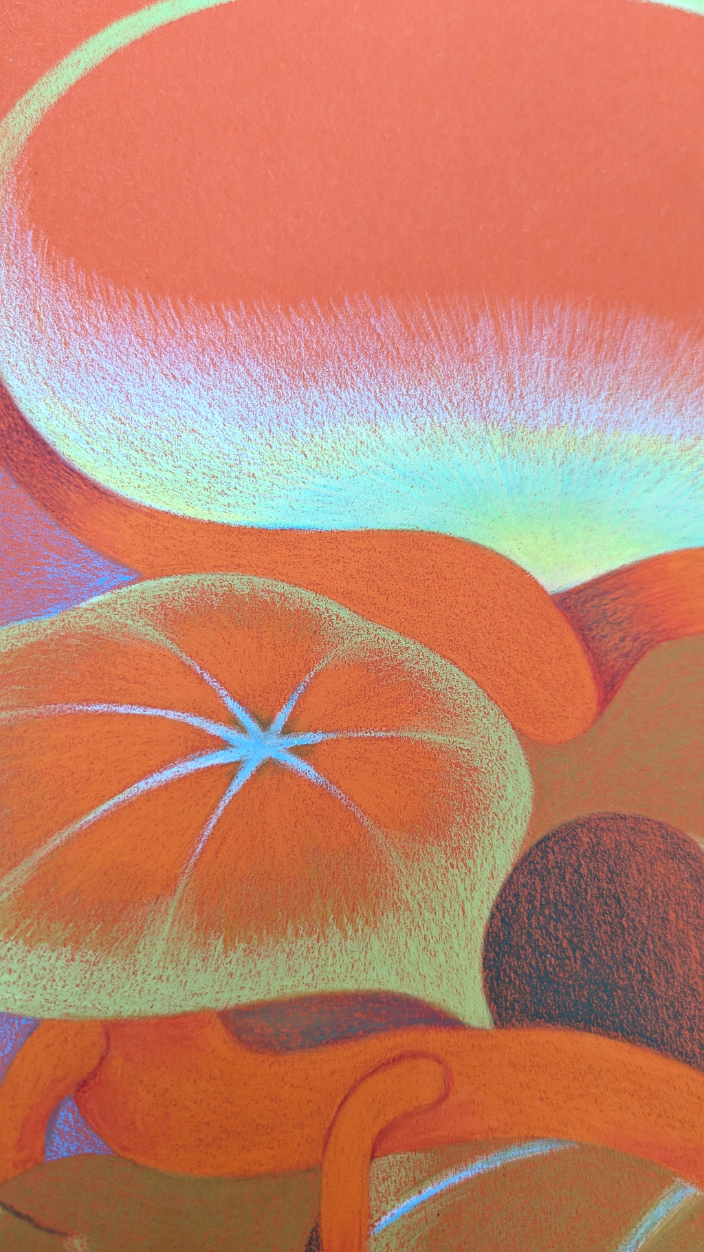 Drawing by Roche titled "Wild Seeds , Shore" - 6.