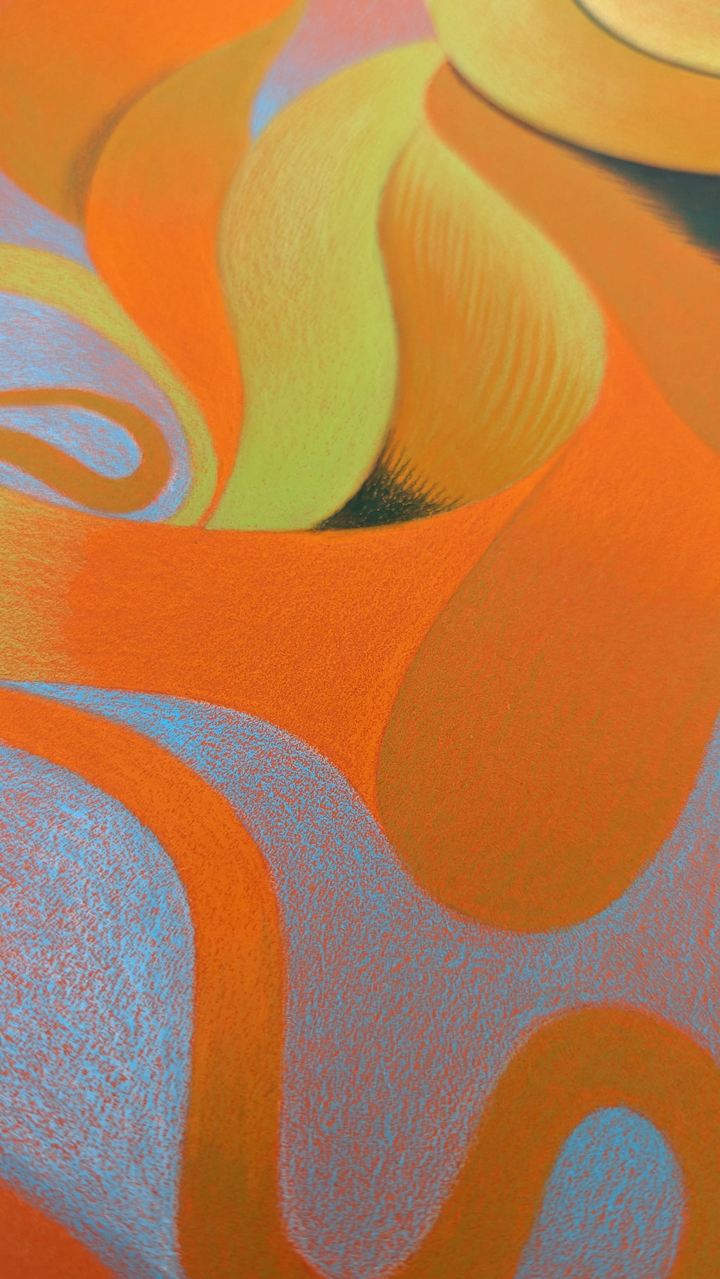 Drawing by Roche titled "Wild Seeds , Web" - 5.