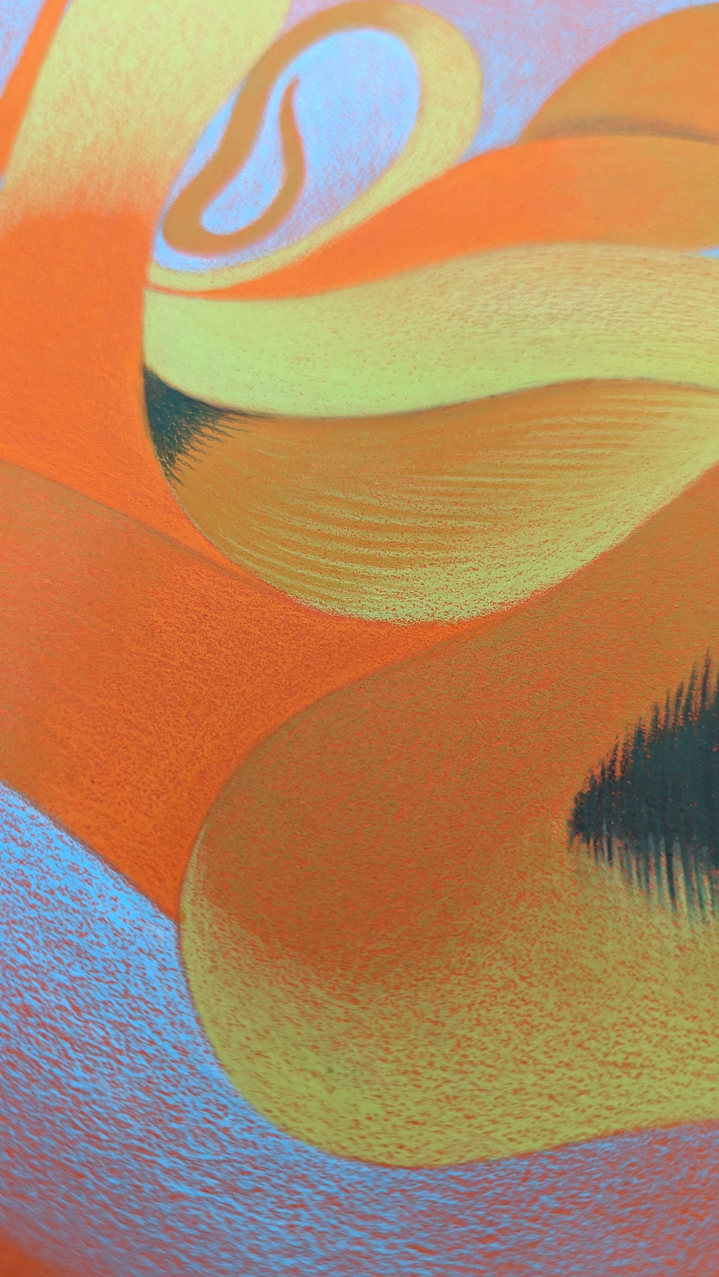 Drawing by Roche titled "Wild Seeds , Web" - 7.