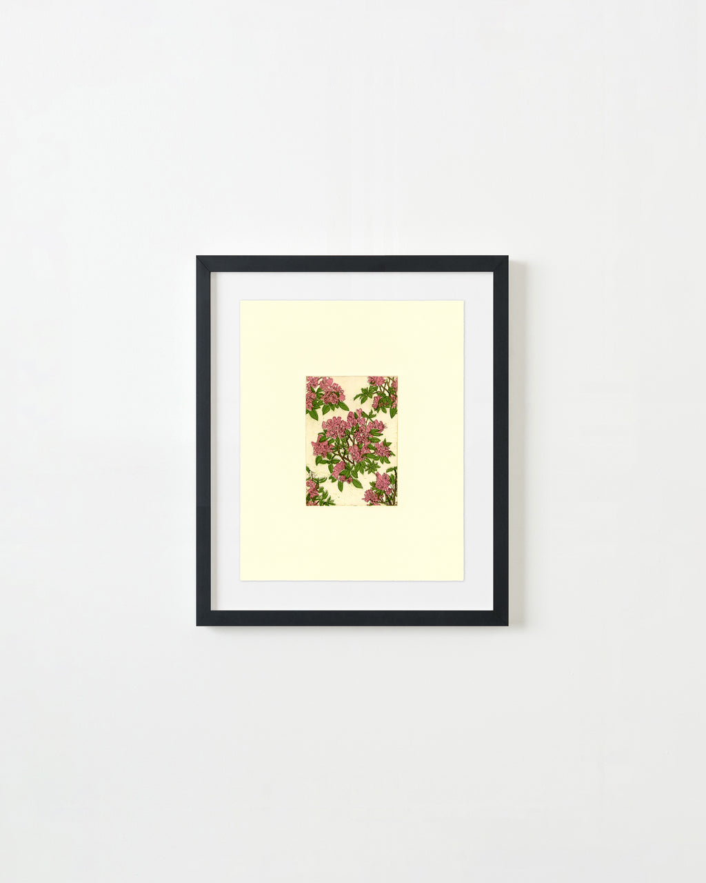 Print by Ruben Castillo titled "Rhododendron (Wallpaper Proposal)" - 4.