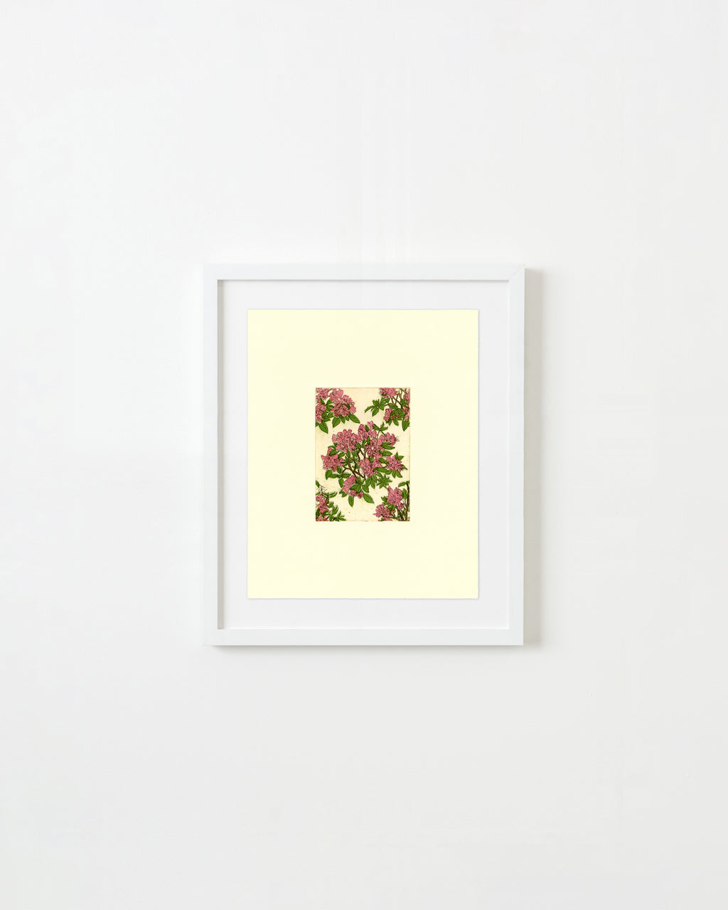 Print by Ruben Castillo titled "Rhododendron (Wallpaper Proposal)" - 3.