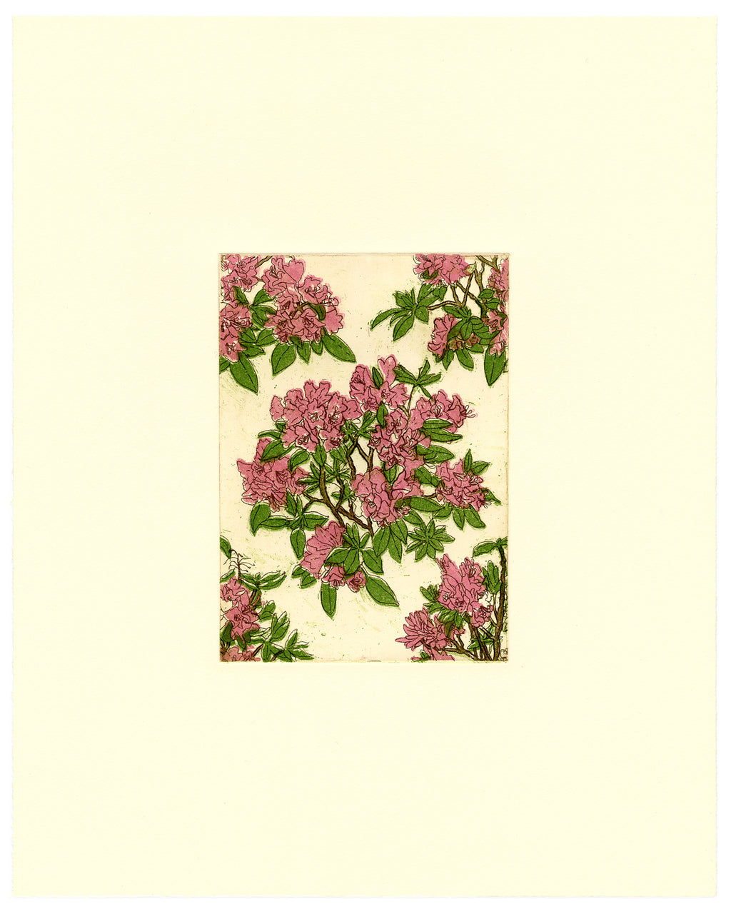 Print by Ruben Castillo titled "Rhododendron (Wallpaper Proposal)" - 2.