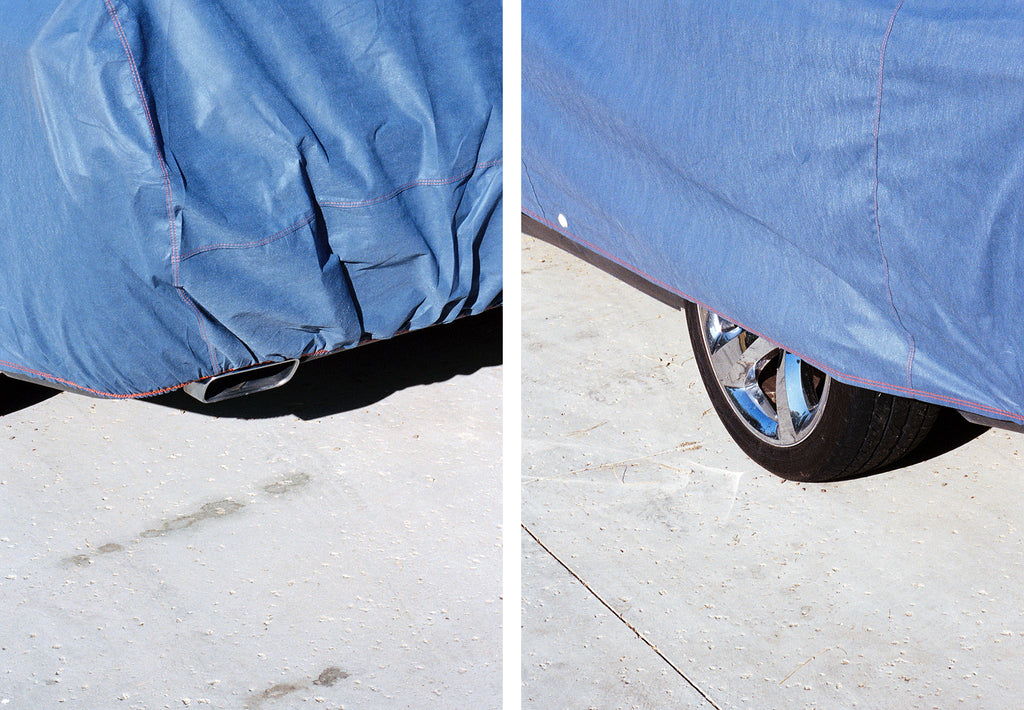 Photography by Ryan James MacFarland titled "Dilemma (Chrome)" - 2.