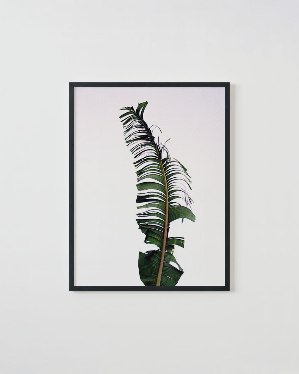 Photography by Ryan James MacFarland titled "Natural Pessimist" - 3.