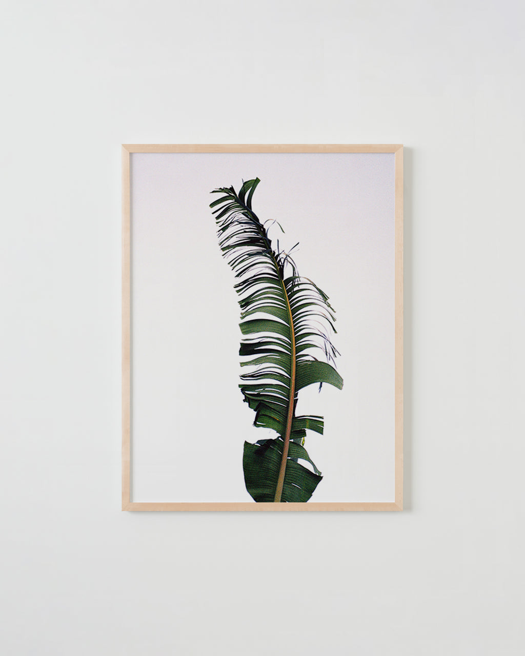 Photography by Ryan James MacFarland titled "Natural Pessimist" - 4.