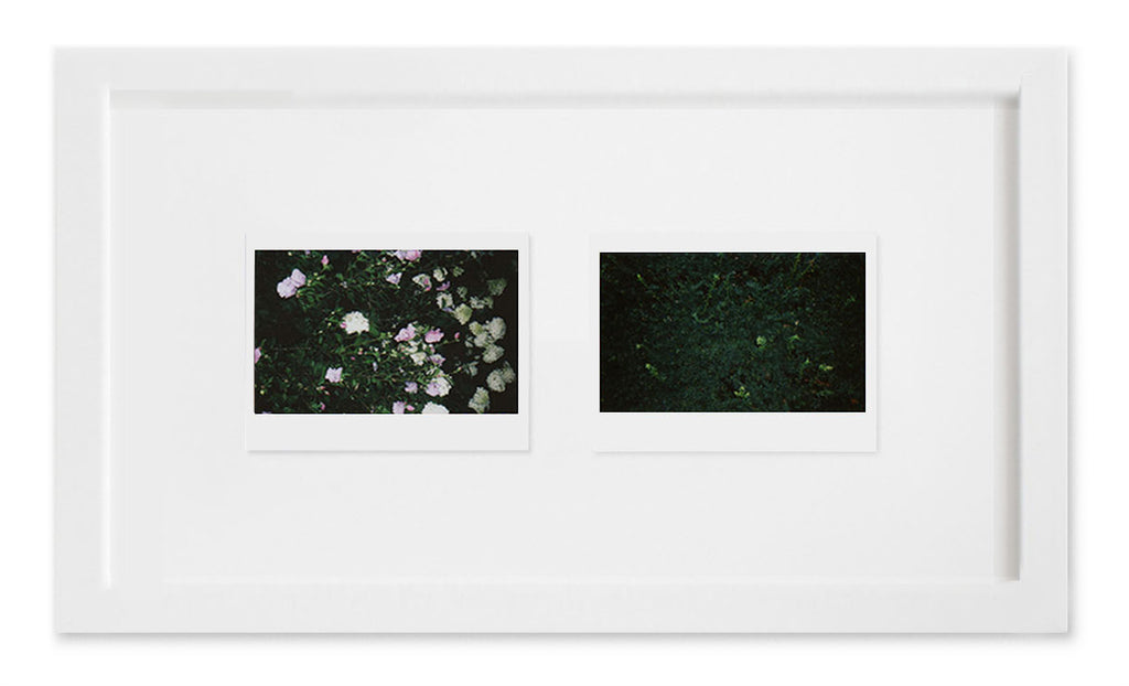 Photography by Ryan James MacFarland titled "Sketchbook (Pair #5)" - 2.