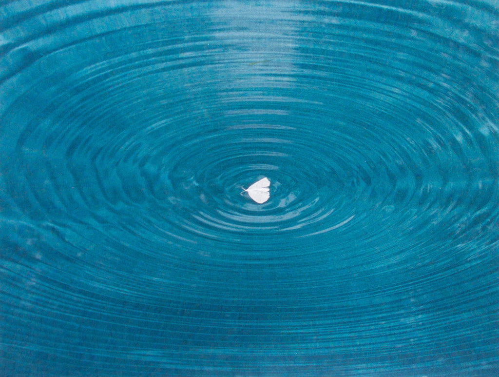 Photography by Ryan James MacFarland titled "The Hard Problem" - 2.