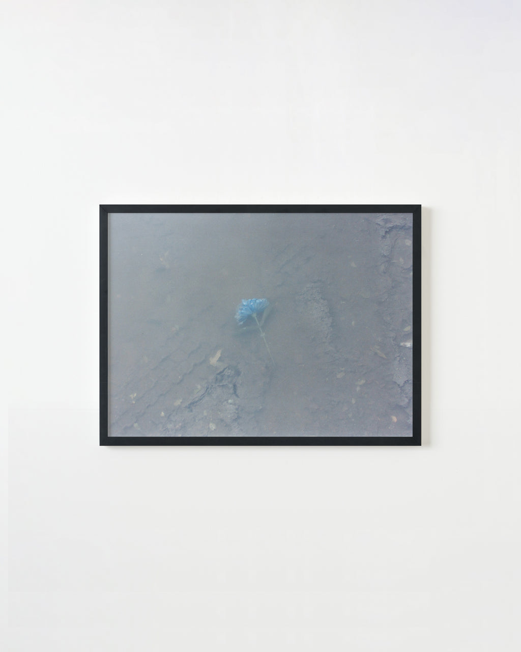 Photography by Ryan James MacFarland titled "Untitled 11" - 3.