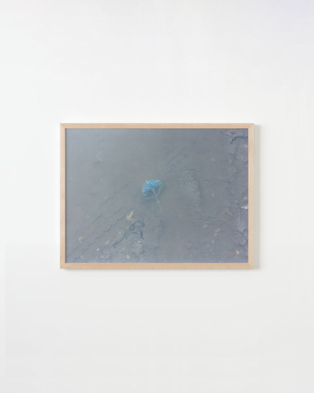 Photography by Ryan James MacFarland titled "Untitled 11" - 4.