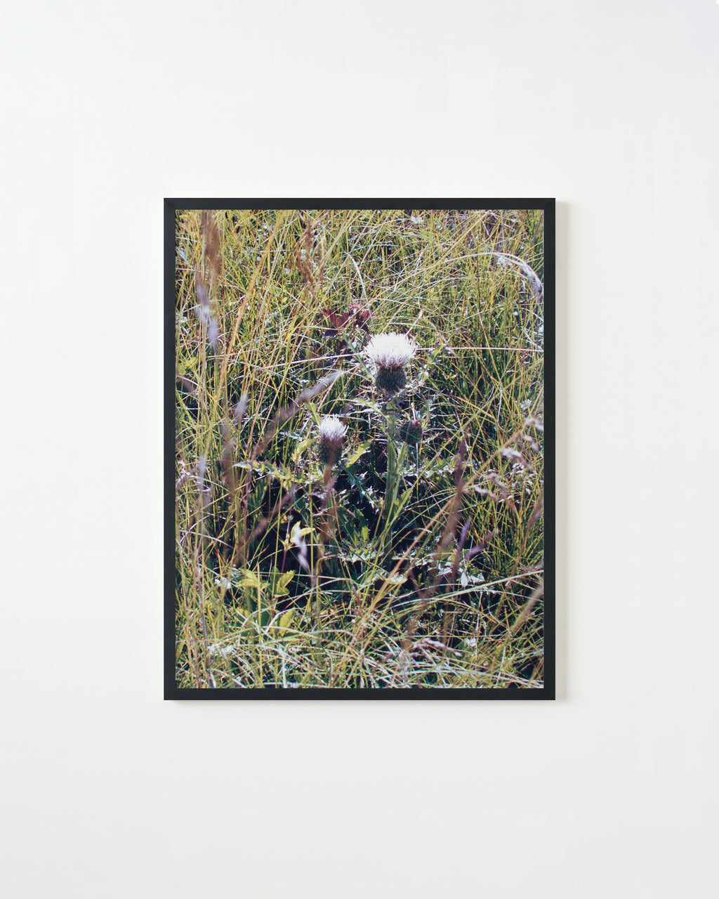 Photography by Ryan James MacFarland titled "Untitled 14" - 3.